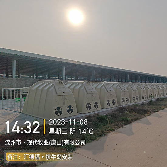 犢牛島